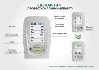СКЭНАР-1-НТ (исполнение 01)  в Сосновом Бор купить Нейродэнс ПКМ официальный сайт - denasdevice.ru 