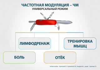 СКЭНАР-1-НТ (исполнение 01)  в Сосновом Бор купить Нейродэнс ПКМ официальный сайт - denasdevice.ru 